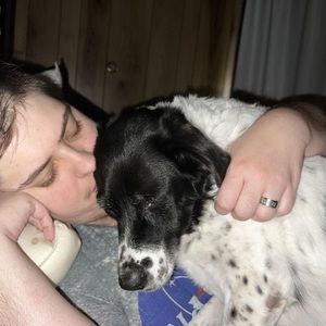 Meet your Posher, Levi